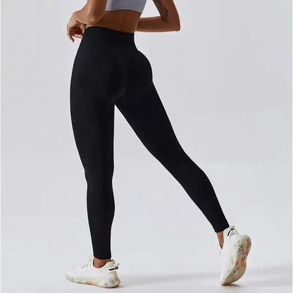 Legging Seamless