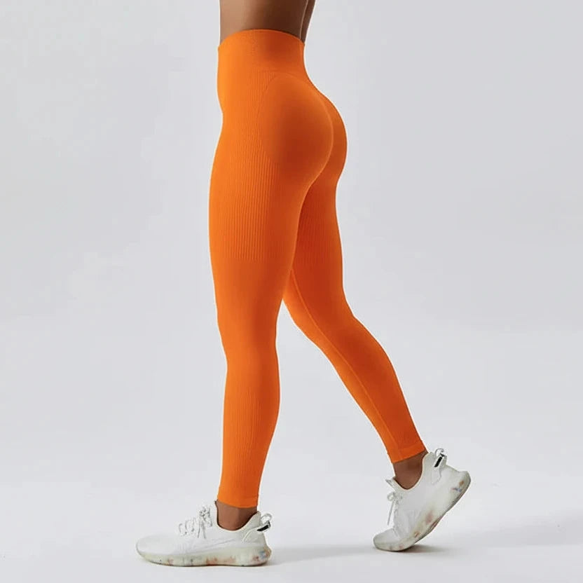 Legging Seamless