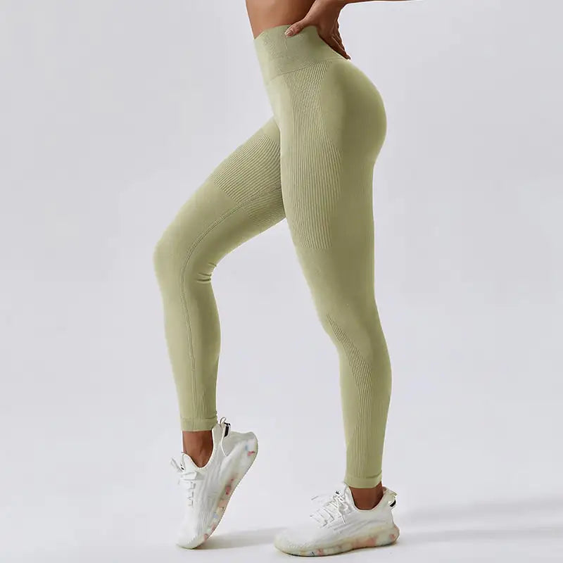 Legging Seamless