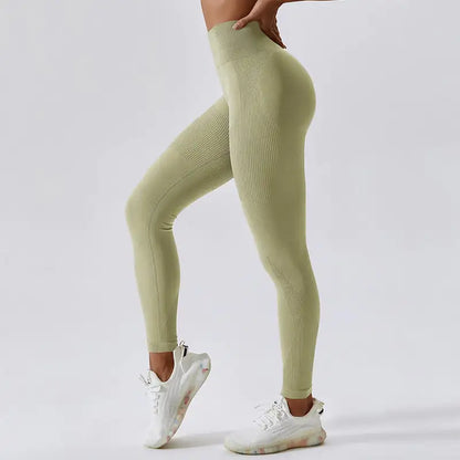 Legging Seamless